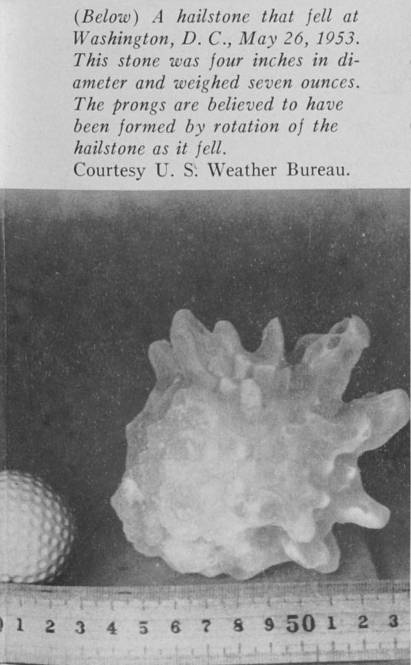 Archival photo of a 4-inch hailstone with a ruler