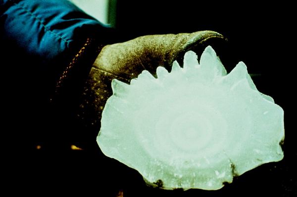 A single very large, spiky hailstone held in a gloved hand