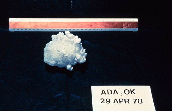 A hailstone next to a ruler, labeled Ada, OK, 29 Apr 78