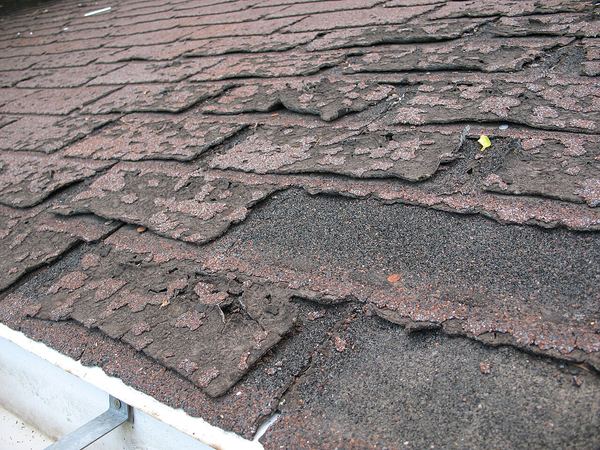 Badly aged brown asphalt shingles with curled, shrunken flaps and exposed nails