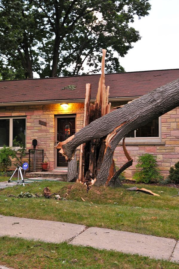 A tree trunk snapped and leaning against the front of a brick house