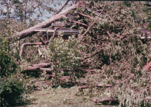 A large tree trunk lying across the roof of a house after a tornado outbreak
